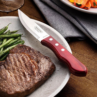 TRAMONTINA - 4 Piece Jumbo Steak Knife Set.