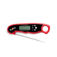 BLAZE - Digital Thermometer Pen